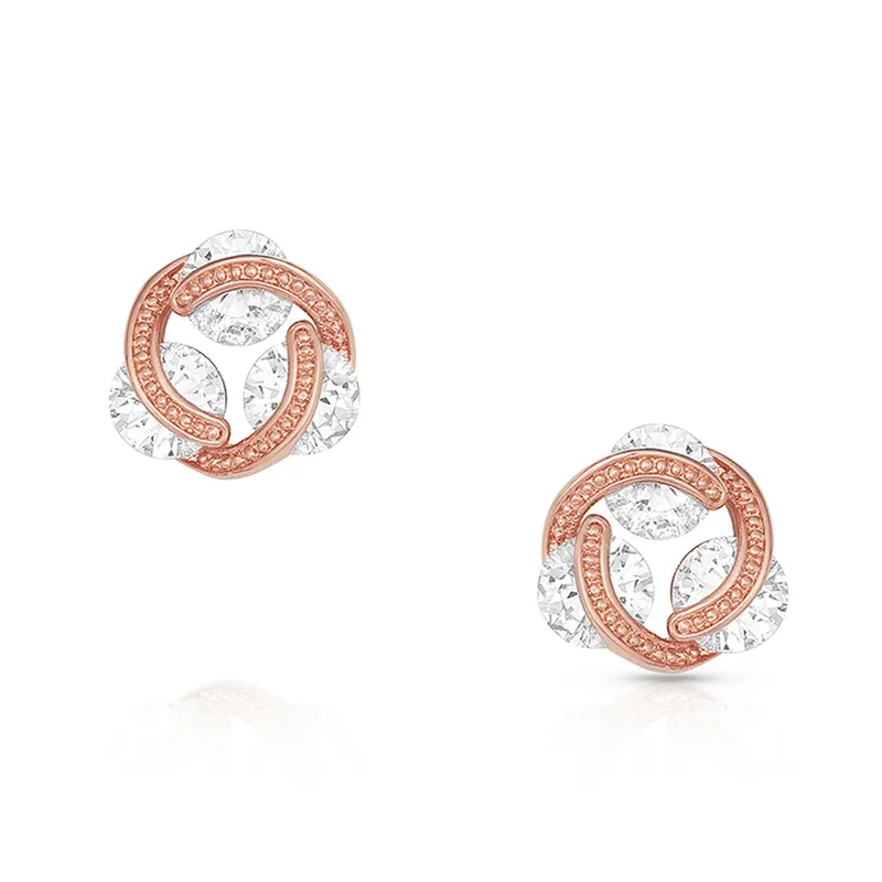 Montana Silversmiths Earrings #ER4800RG