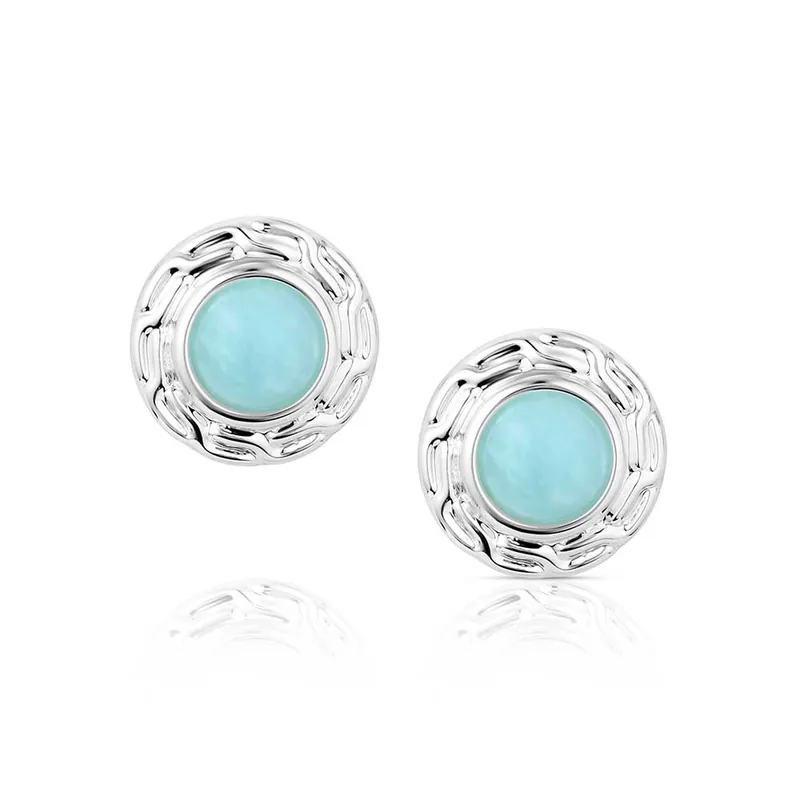 Montana Silversmiths Earrings #ER6197