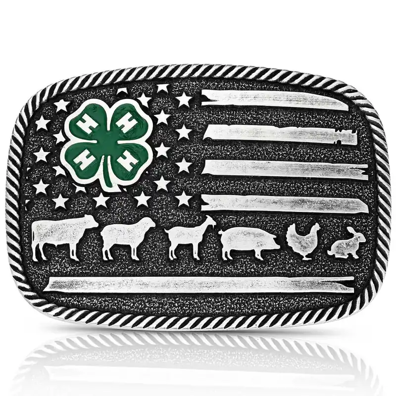 Montana Silversmiths Attitude Buckle #A1049S