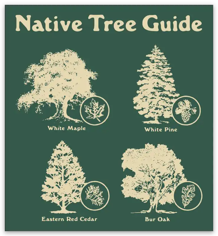 Native Guide Stickers - Hamilton & Adams