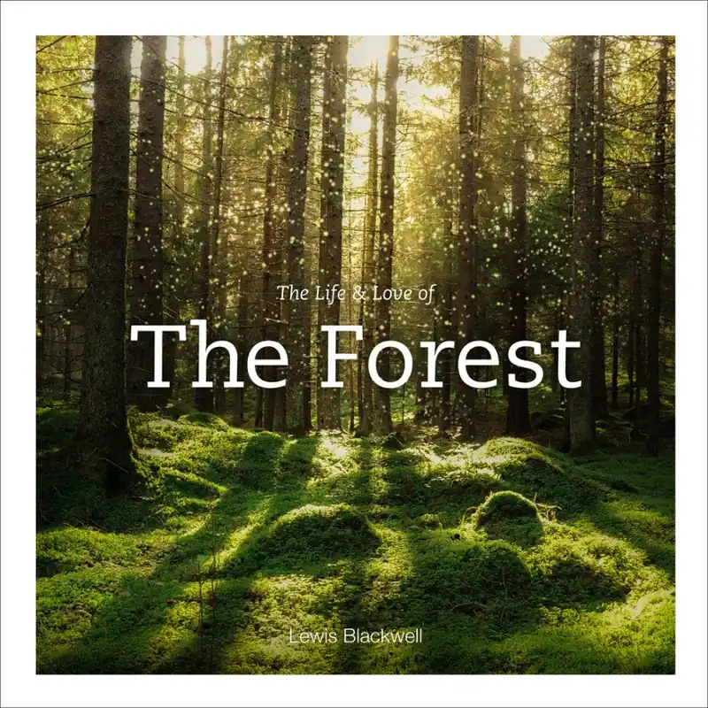 The Life & Love Of The Forest - Hachette Book Group