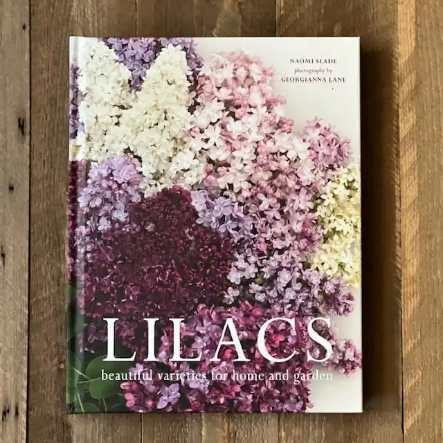 Lilacs - Gibbs Smith