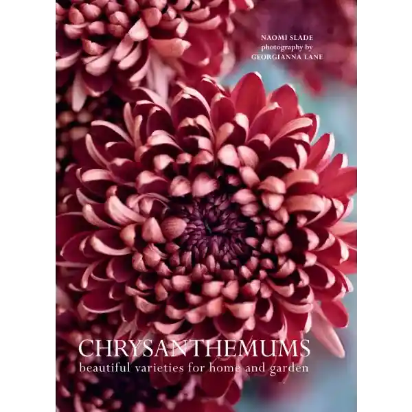 Chrysanthemums - Gibbs Smith