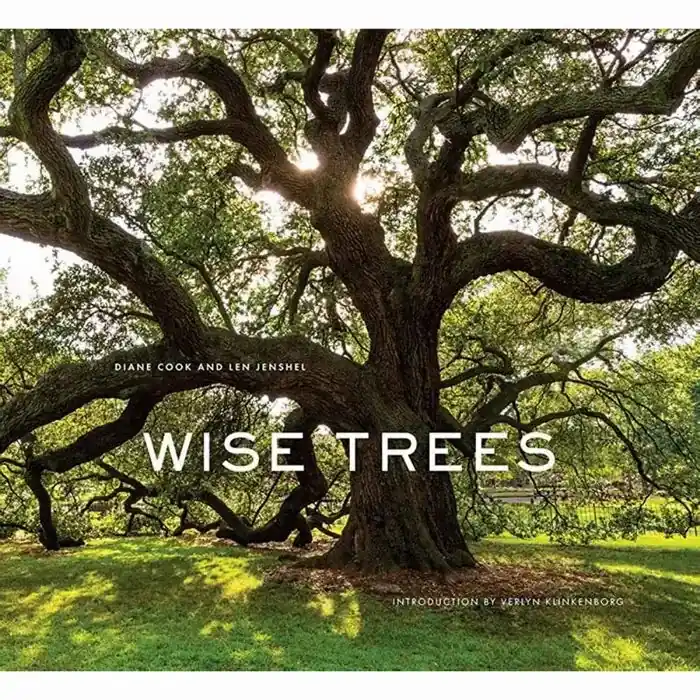 Wise Trees - Abrams Books