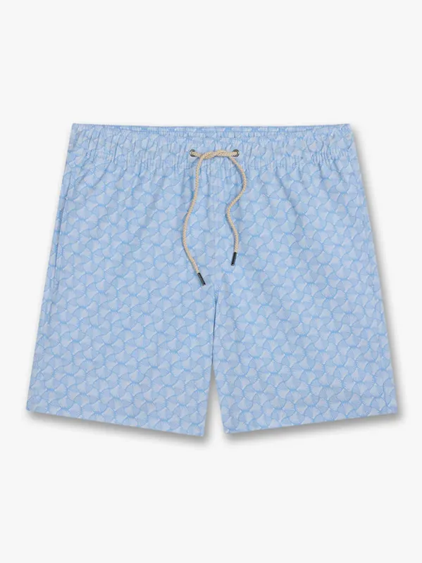 Bayberry Trunk - Sky Blue Shells