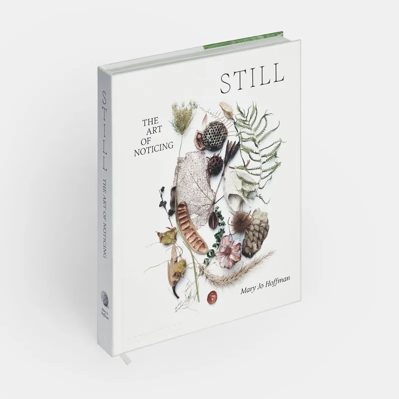 STILL - The Art of Noticing