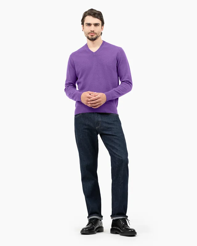 Men's Classic V-Neck Sweater - Purple