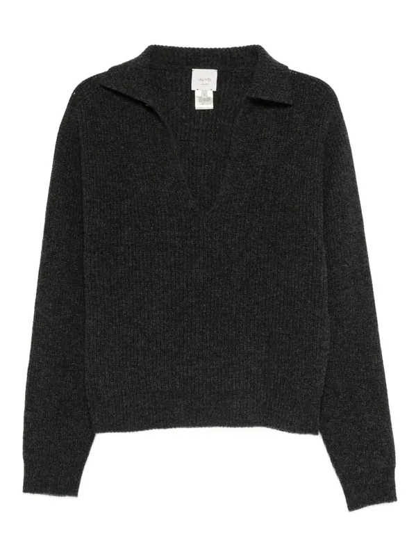 Wool Polo Sweater - Alysi