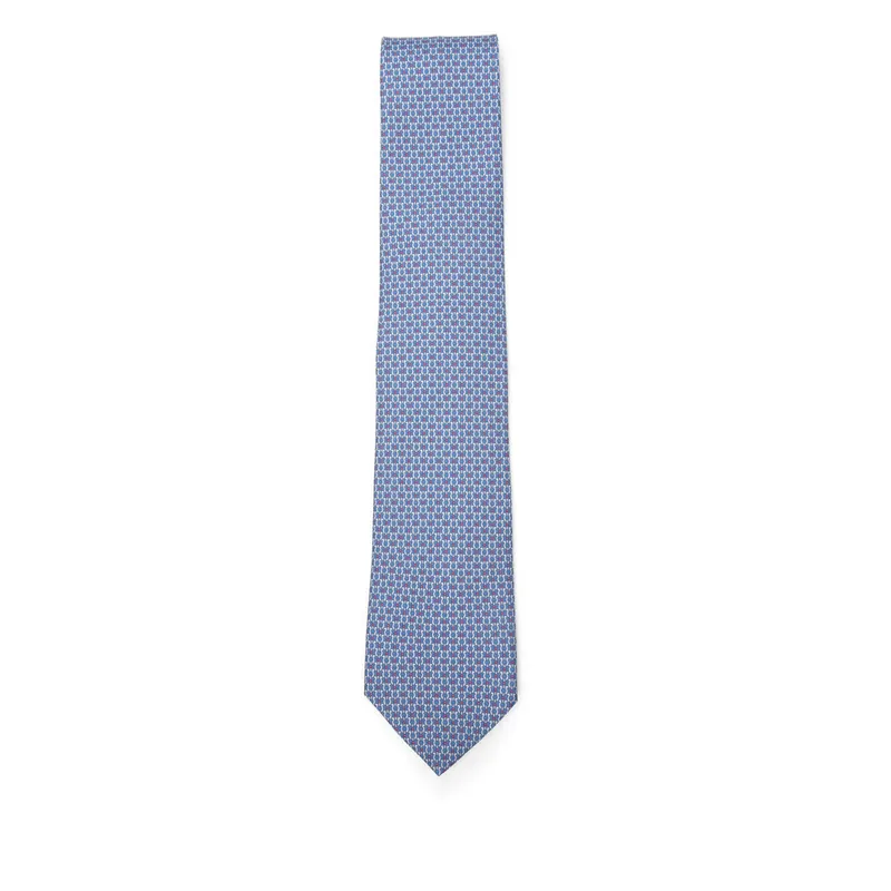 Ties Blue - Ferragamo