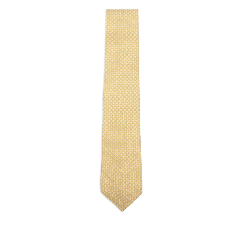 Ties Yellow - Ferragamo