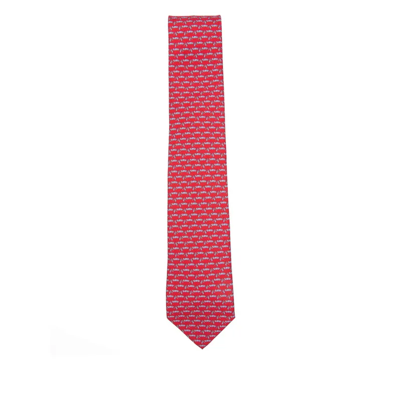 Ties Red, Blue - Ferragamo