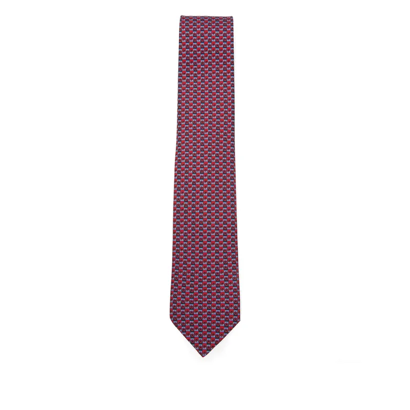 Ties Red, Blue - Ferragamo