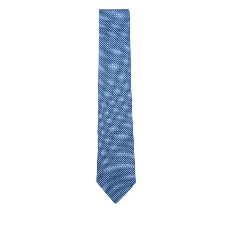 Ties Blue - Ferragamo