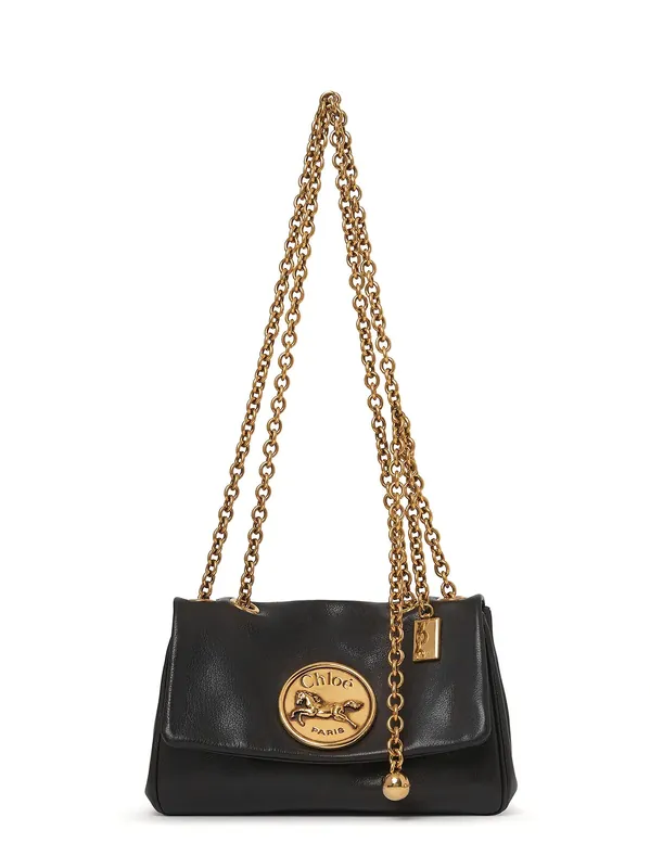 Heritage Leather Crossbody Bag - Chloé