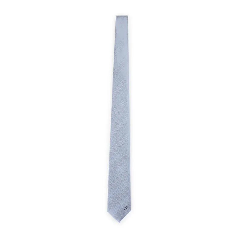 Ties Blue - Brioni