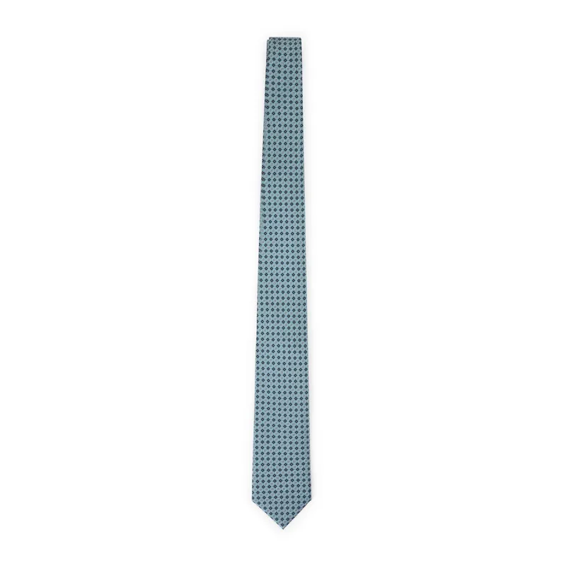 Ties Blue - Brioni