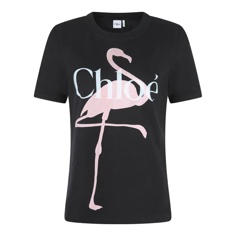 T-Shirts And Polos Ash Black